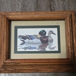 Framed Duck Art Print